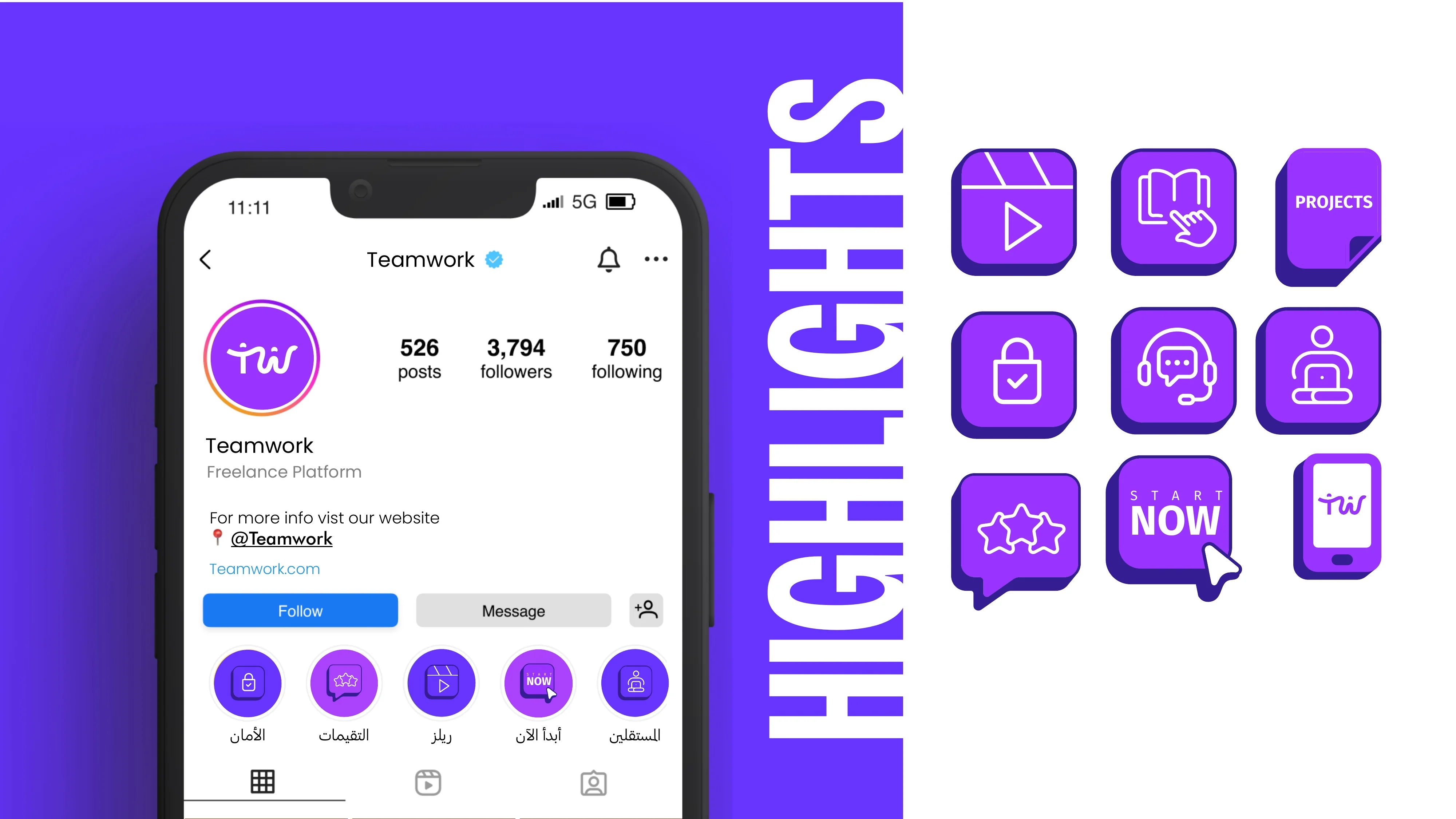 TeamWork profile and interface